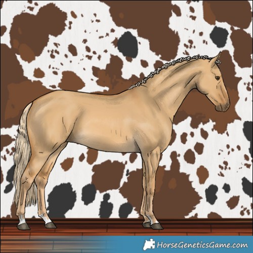 Horse Color:Palomino Dun 