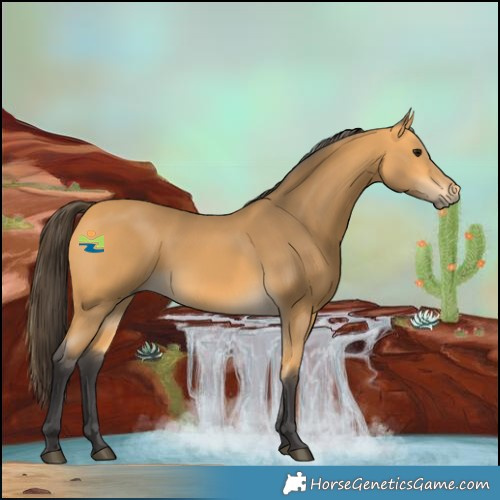 Horse Color:Buckskin