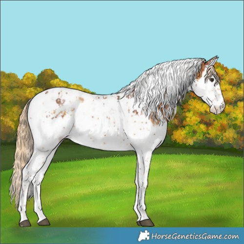 Horse Color:Chestnut Splash Tobiano  and Palomino Splash Tobiano 