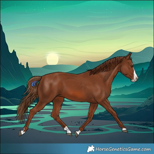 Horse Color:Chestnut Splash Frame