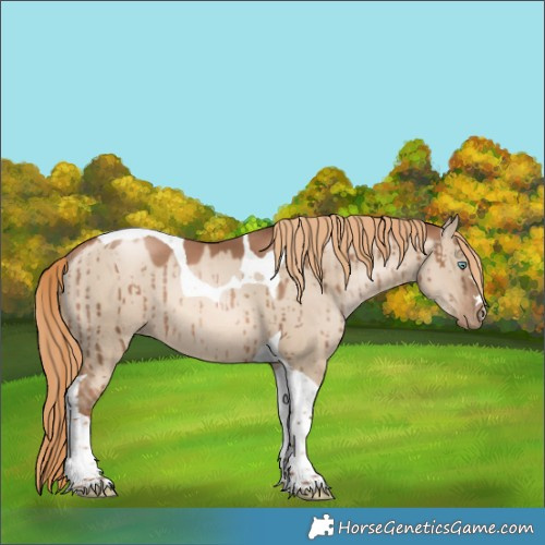 Horse Color:Liver Red Dun Pearl Tobiano Rabicano Brindle