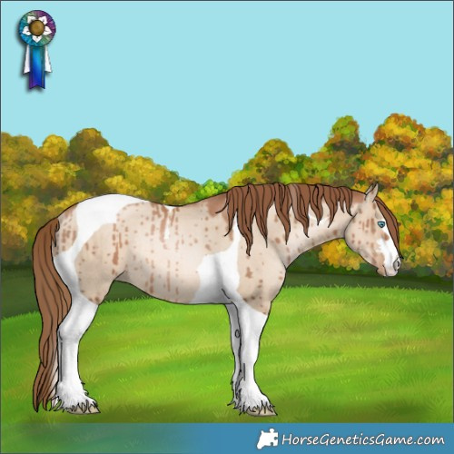Horse Color:Liver Red Dun Pearl Tobiano Rabicano Brindle 