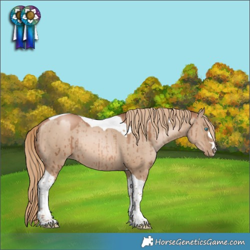 Horse Color:Liver Red Dun Pearl Tobiano Rabicano Brindle