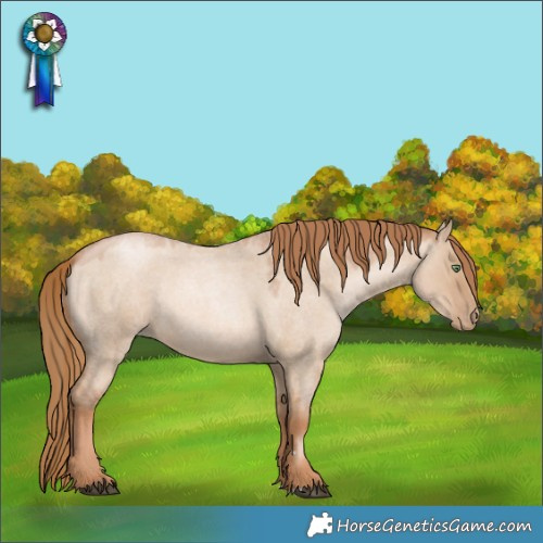 Horse Color:Red Dun Roan Pearl Rabicano 