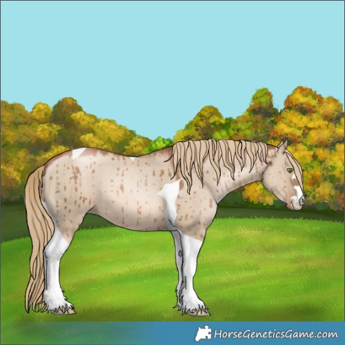 Horse Color:Liver Red Dun Pearl Tobiano Brindle