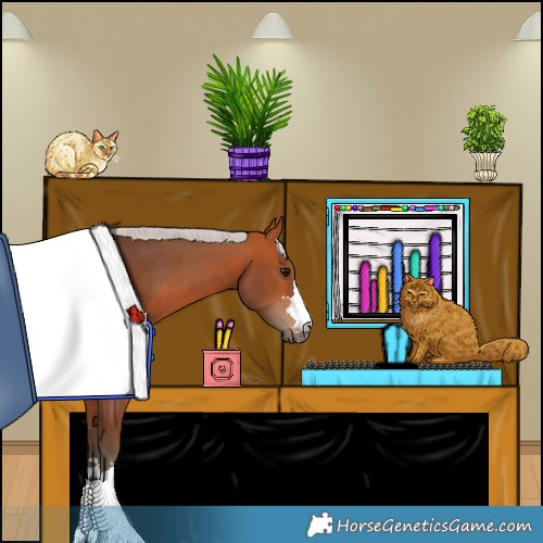 Horse Color:Silver Bay Rabicano
