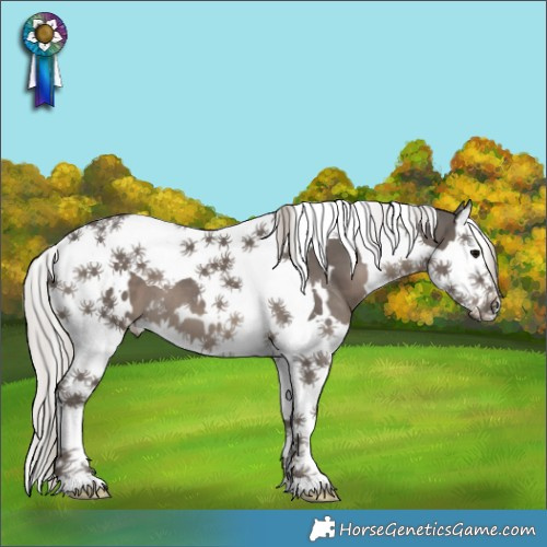 Horse Color:White Spotted Silver Black Splash Tobiano