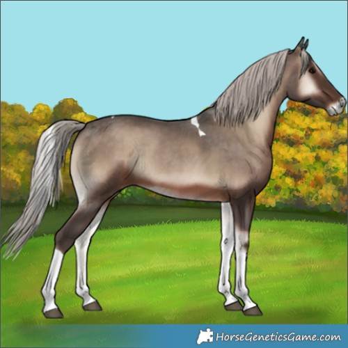 Horse Color:Silver Blue Onyx Tobiano
