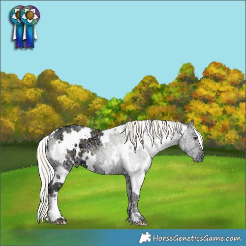 Horse Color:Plaid White Spotted Silver Brown Chinchilla Ice Pearl Onyx