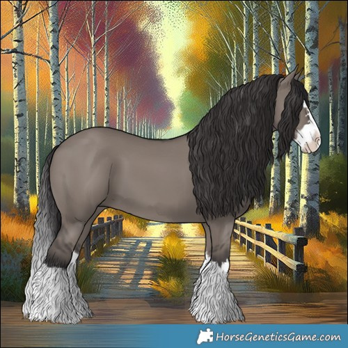 Horse Color:Smoky Grullo Splash 