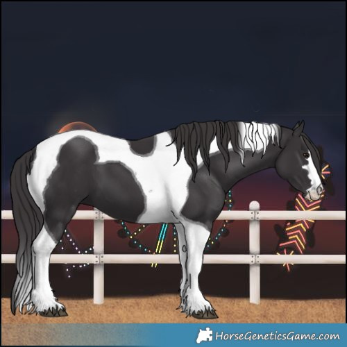 Horse Color:Smoky Black Tobiano 