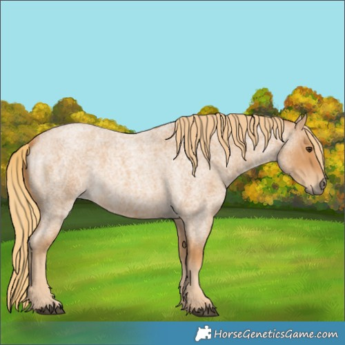 Horse Color:Red Roan 