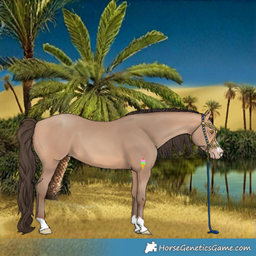 Horse Color:Amber Champagne