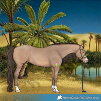Horse Color:Amber Champagne