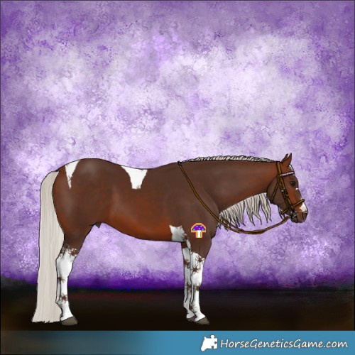 Horse Color:Silver Brown Tobiano 