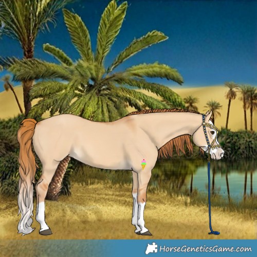 Horse Color:Red Dun Splash 