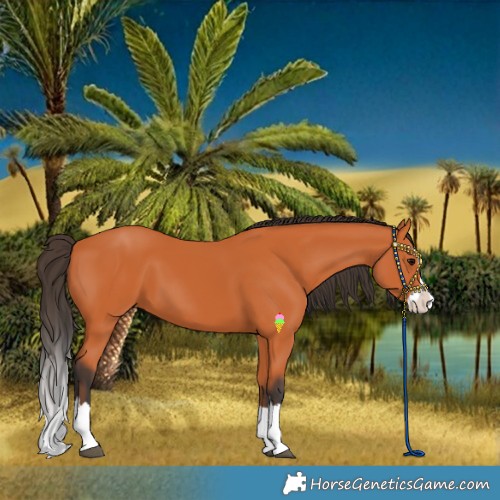 Horse Color:Bay Splash