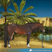 Horse Color:Brown 