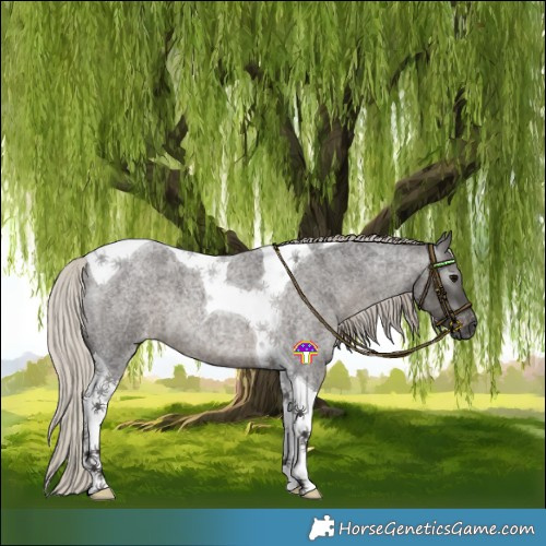 Horse Color:Gray Silver Blue Roan Tobiano Varnish 
