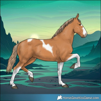 Horse Color:Chestnut Tobiano 