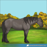 Horse Color:Smoky Grullo 