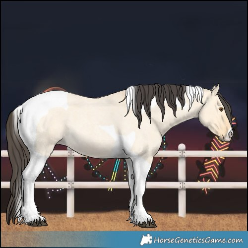 Horse Color:Buckskin Roan Dun Tobiano 