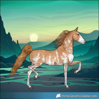 Horse Color:Chestnut Sabino 