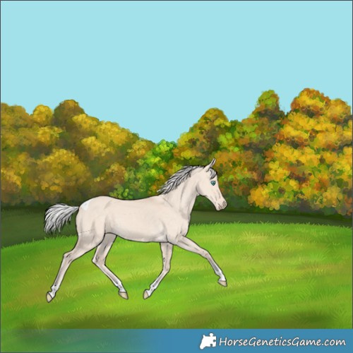 Horse Color:Silver Smoky Creme Dun Tobiano 