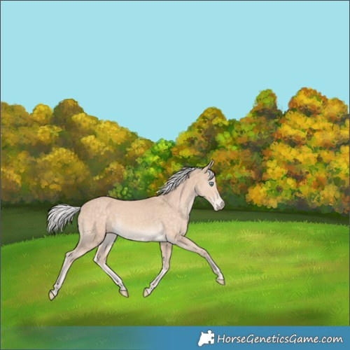 Horse Color:Silver Perlino 