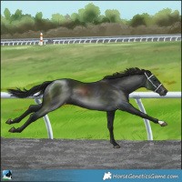 Horse Color:Gray Black Varnish