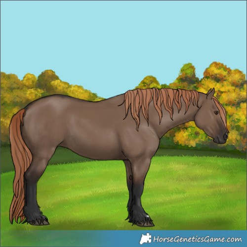 Horse Color:Liver Red Dun Rabicano