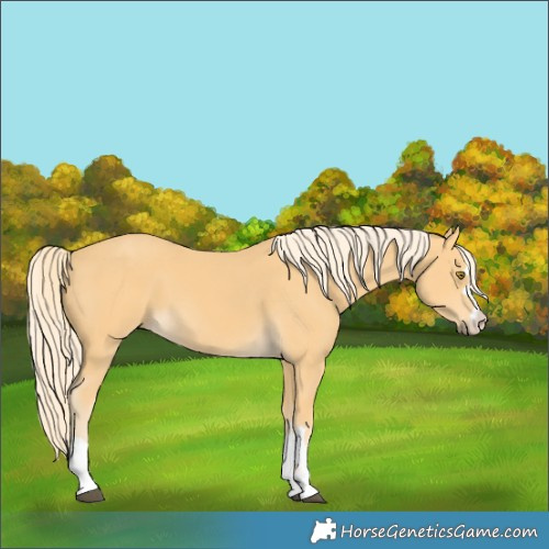 Horse Color:Pseudo Palomino 