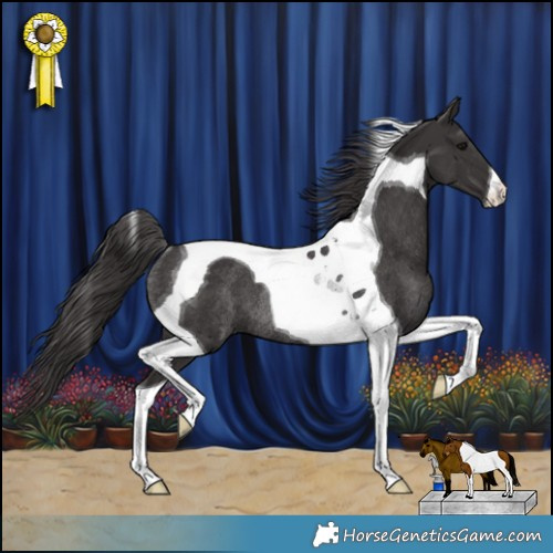 Horse Color:Smoky Black Tobiano Rabicano