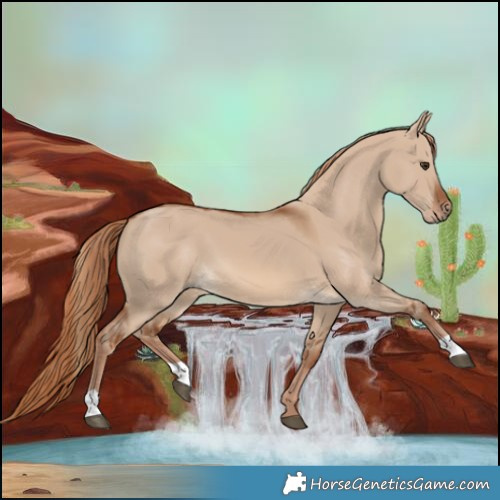 Horse Color:Red Dun 