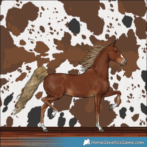 Horse Color:Gray Chestnut Varnish 