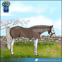 Horse Color:Silver Black Splash 