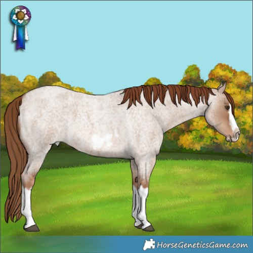 Horse Color:Red Dun Roan Splash Frame Rabicano 
