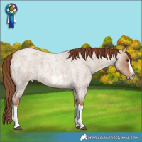 Horse Color:Red Dun Roan Splash Frame Rabicano 