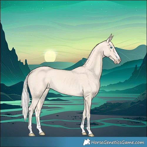Horse Color:Cremello