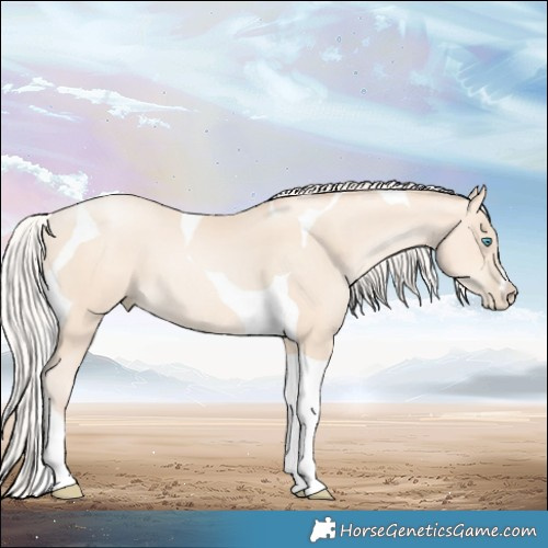 Horse Color:Silver Amber Cream Champagne Pearl Tobiano
