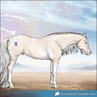 Horse Color:Silver Amber Cream Champagne Pearl Tobiano 