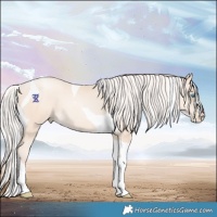 Horse Color:Silver Amber Cream Champagne Pearl Tobiano 