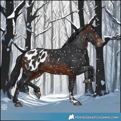 Horse Color:Brown Blanket 