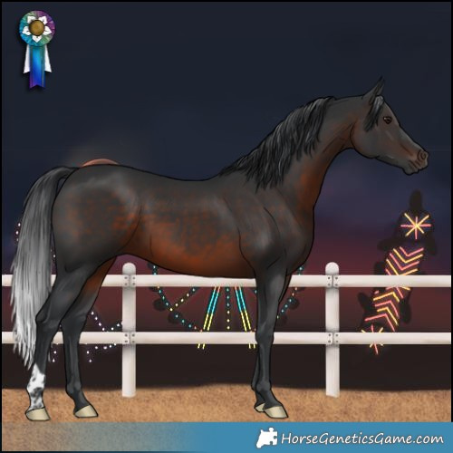 Horse Color:Brown 
