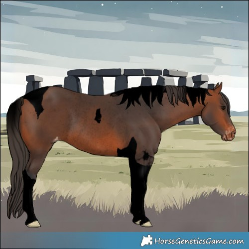 Horse Color:Void Bay Tobiano Skewed LP Spotted Rabicano