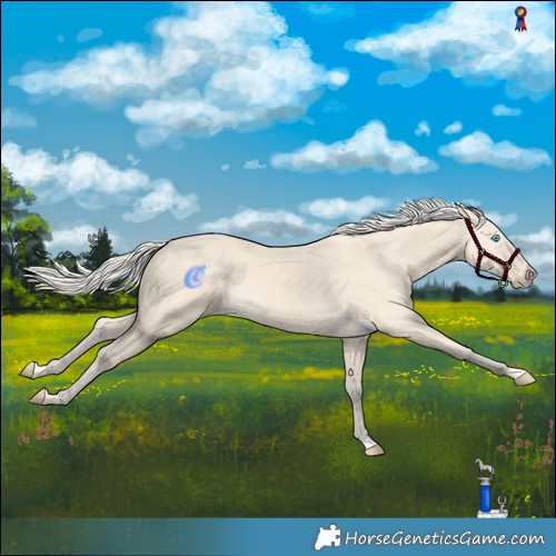 Horse Color:Cremello 