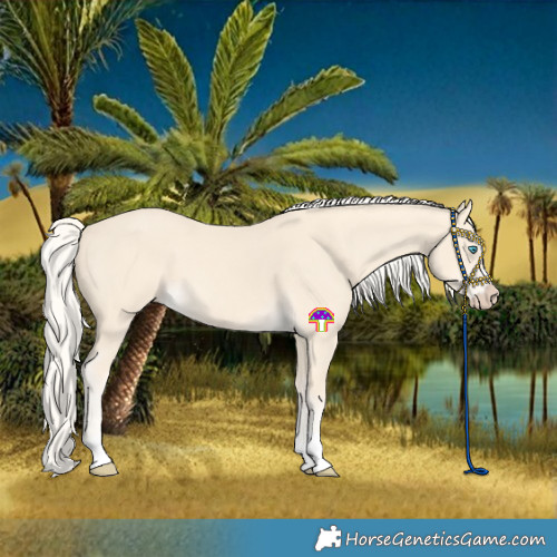 Horse Color:Cremello