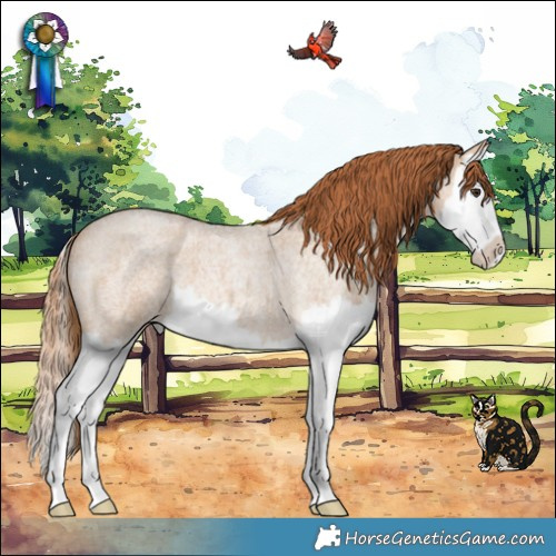 Horse Color:Red Dun Roan Splash