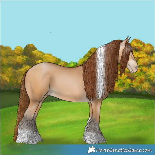 Horse Color:Gray Buckskin Pearl Tobiano 