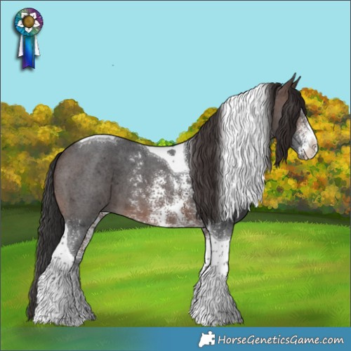Horse Color:Brown Sabino Tobiano